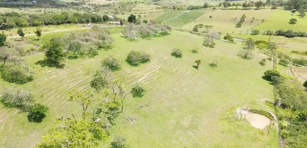 Fazenda / Sítio / Chácara com 3 Quartos à venda, 298000m² no , Sairé