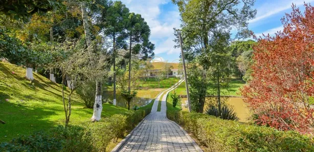 Fazenda / Sítio / Chácara com 4 Quartos à venda, 145000m² no Jardim Florestal, Campo Largo