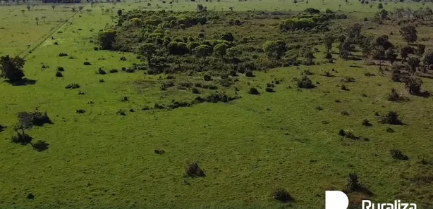 Fazenda / Sítio / Chácara à venda, 2904m² no , Formoso do Araguaia