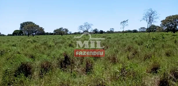Fazenda / Sítio / Chácara à venda, 500m² no , Pium