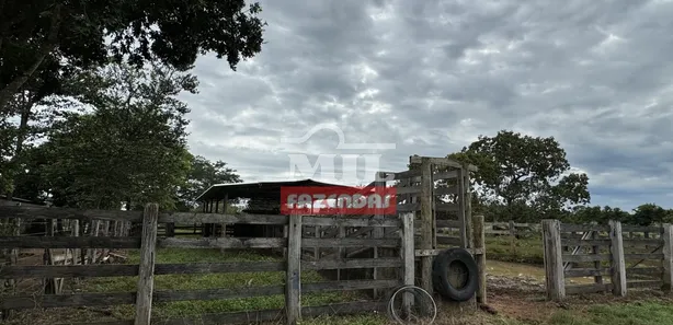 Fazenda / Sítio / Chácara com 2 Quartos à venda, 500m² no Setor Central, Gurupi
