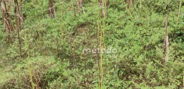 Terreno / Lote / Condomínio à venda, 953m² no Santa Teresa, Santa Branca