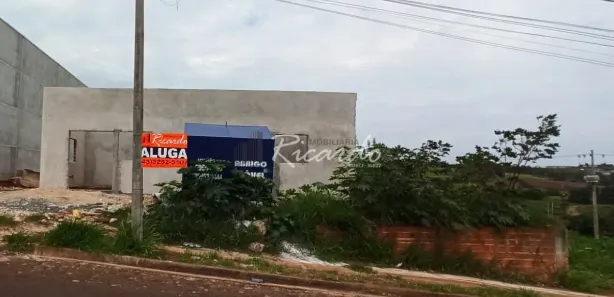Conjunto Comercial / Sala para alugar, 25m² no Jardim Paulino Fedrigo, Arapongas