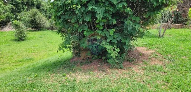 Terreno / Lote / Condomínio à venda, 1000m² no Vivendas do Engenho D'Água, Itatiba