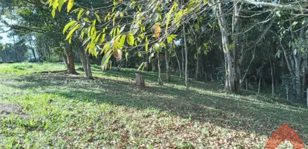 Terreno / Lote / Condomínio à venda, 2888m² no , São Lourenço da Serra