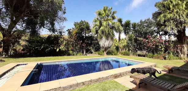 Fazenda / Sítio / Chácara com 5 Quartos à venda, 250m² no Rosa Machado, Piraí