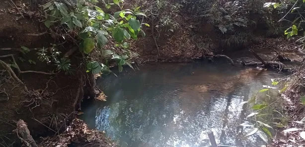 Fazenda / Sítio / Chácara à venda, 20000m² no Arapoanga, Brasília