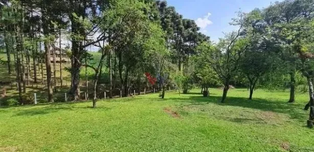 Fazenda / Sítio / Chácara com 6 Quartos à venda, 144000m² no Jardim Pinheiros, Quatro Barras