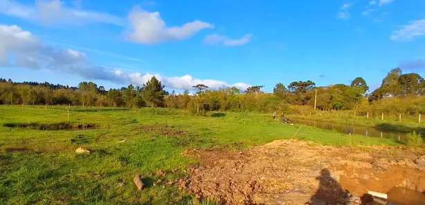 Fazenda / Sítio / Chácara à venda, 32800m² no , Tijucas do Sul