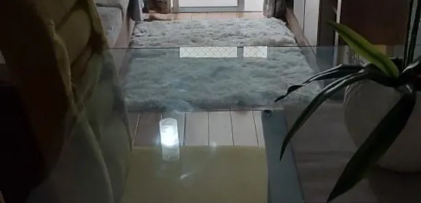 Apartamento com 3 Quartos para alugar, 57m² no Novo Osasco, Osasco