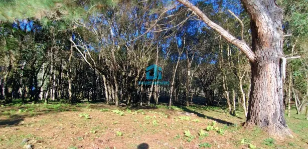 Fazenda / Sítio / Chácara à venda, 20000m² no Três Córregos, Campo Largo