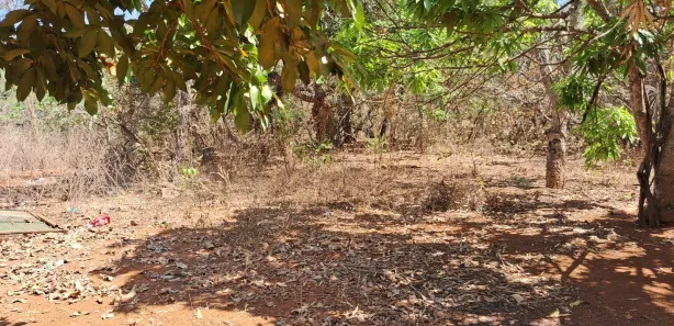 Fazenda / Sítio / Chácara com 2 Quartos à venda, 30000m² no , Brasília