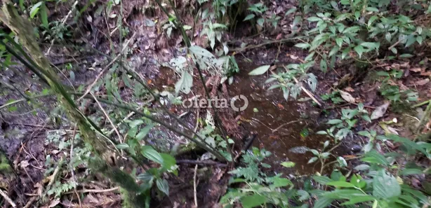 Fazenda / Sítio / Chácara à venda, 21381m² no Área Rural de Araucária, Araucária