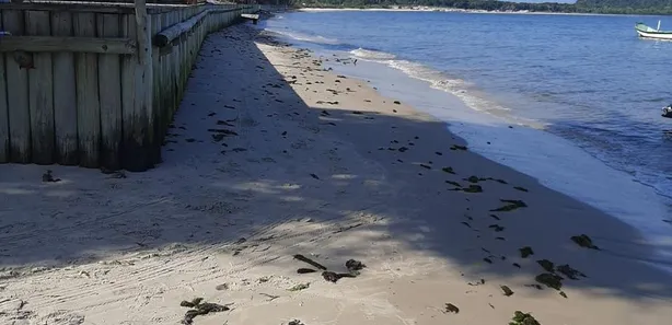 Terreno / Lote / Condomínio à venda, 900m² no Ilha do Mel, Paranaguá