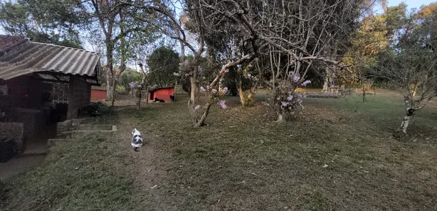 Fazenda / Sítio / Chácara com 5 Quartos à venda, 300m² no Visconde de Mauá, Resende