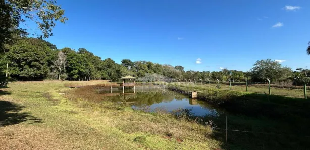 Fazenda / Sítio / Chácara com 6 Quartos à venda, 1100m² no , Ibiporã
