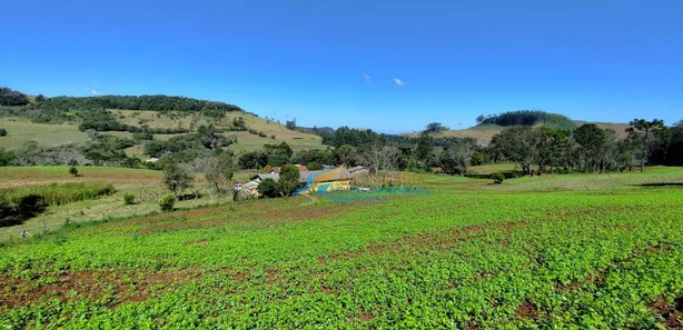 Fazenda / Sítio / Chácara com 5 Quartos à venda, 140360m² no , Guaraniaçu