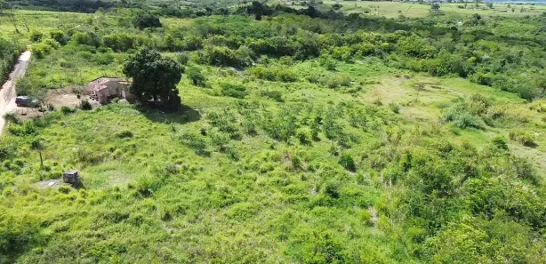 Fazenda / Sítio / Chácara à venda, 30000m² no , Sairé