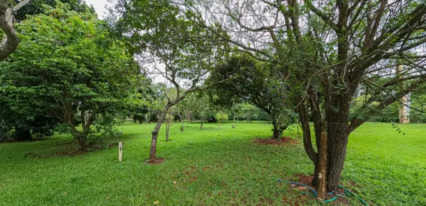 Fazenda / Sítio / Chácara com 2 Quartos à venda, 23000m² no Ponte Alta Norte, Brasília