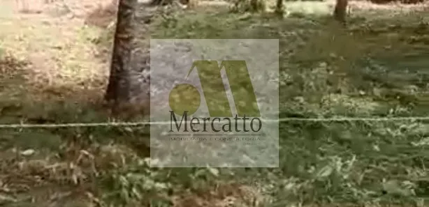 Fazenda / Sítio / Chácara com 3 Quartos à venda, 200m² no Itatuba, São Lourenço da Serra