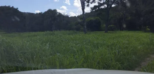 Terreno / Lote / Condomínio à venda, 253m² no Setor Aeroporto, Gurupi