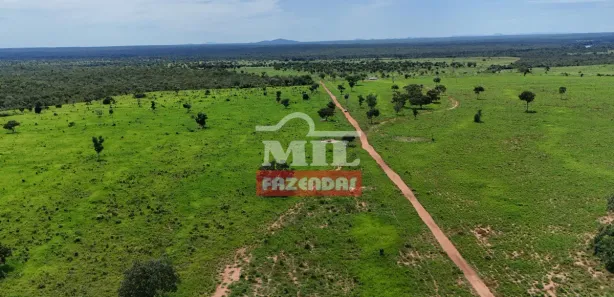 Fazenda / Sítio / Chácara à venda, 500m² no , Paranã