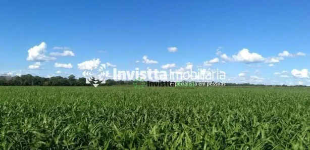 Fazenda / Sítio / Chácara à venda, 411m² no Centro, Cristalândia
