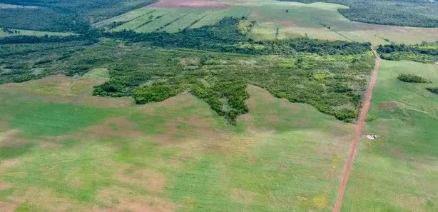 Fazenda / Sítio / Chácara à venda, 21500000m² no Centro, Paraíso do Tocantins
