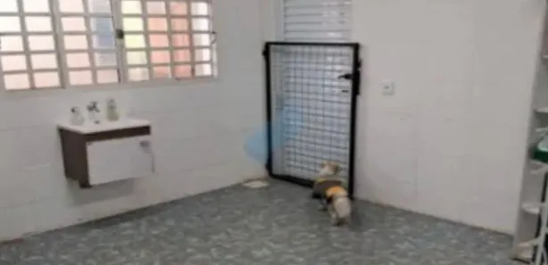 Conjunto Comercial / Sala à venda, 528m² no Jardim América, Sorocaba