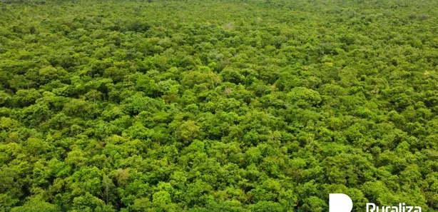 Fazenda / Sítio / Chácara à venda, 600m² no , Pium