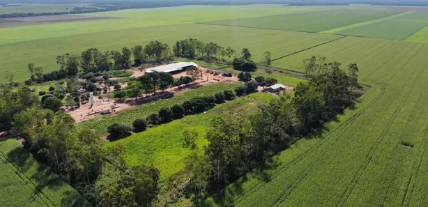 Fazenda / Sítio / Chácara à venda, 2900m² no , Pedro Afonso