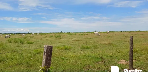 Fazenda / Sítio / Chácara à venda, 1950m² no , Paraíso do Tocantins