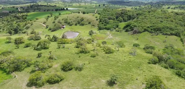 Fazenda / Sítio / Chácara com 2 Quartos à venda, 125000m² no , Sairé