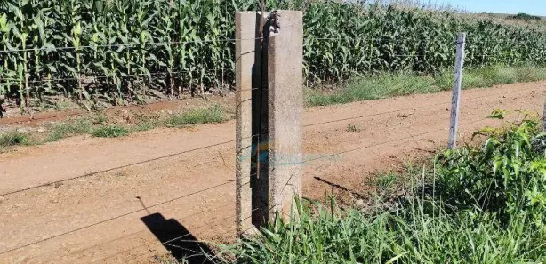 Fazenda / Sítio / Chácara à venda, 150m² no , Guaraniaçu