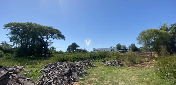 Terreno / Lote / Condomínio para venda ou aluguel, 8790m² no Lorenzi, Santa Maria