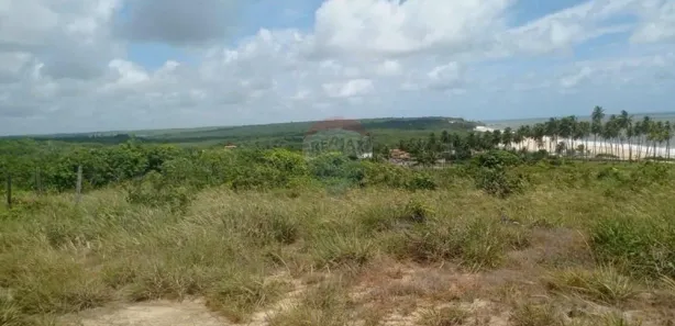 Terreno / Lote / Condomínio à venda, 900m² no , Pitimbu
