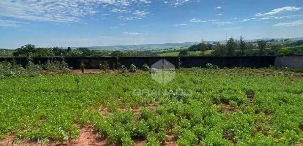 Terreno / Lote / Condomínio à venda, 1636m² no Floraí, Floraí