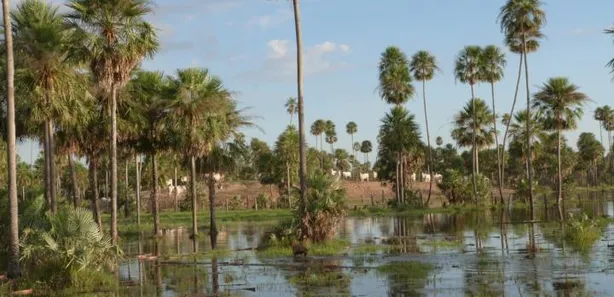 Fazenda / Sítio / Chácara com 3 Quartos à venda, 56690000m² no , Porto Murtinho