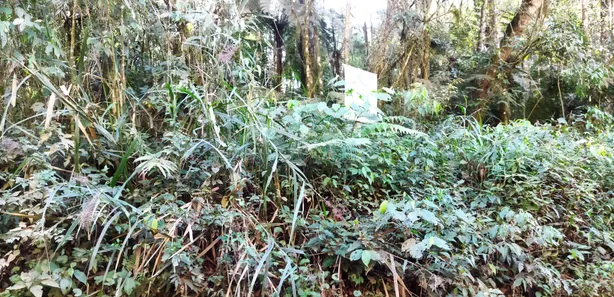 Fazenda / Sítio / Chácara com 1 Quarto à venda, 20000m² no , Campo Largo