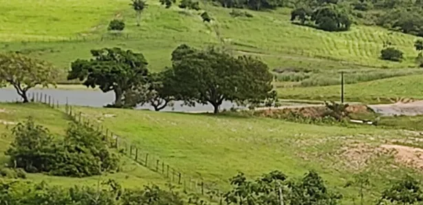 Fazenda / Sítio / Chácara com 4 Quartos à venda, 580000m² no , Brejinho