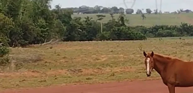 Fazenda / Sítio / Chácara à venda, 733m² no , Guaraí