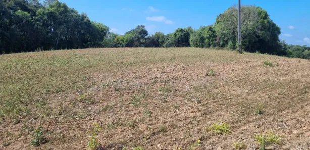 Terreno / Lote / Condomínio à venda, 60617m² no Cecilia, Campo Magro