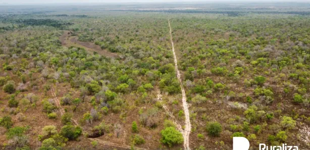Fazenda / Sítio / Chácara à venda, 5178m² no , Rio Sono