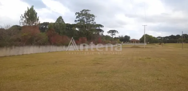 Terreno / Lote / Condomínio para alugar, 5000m² no Ipê, São José dos Pinhais
