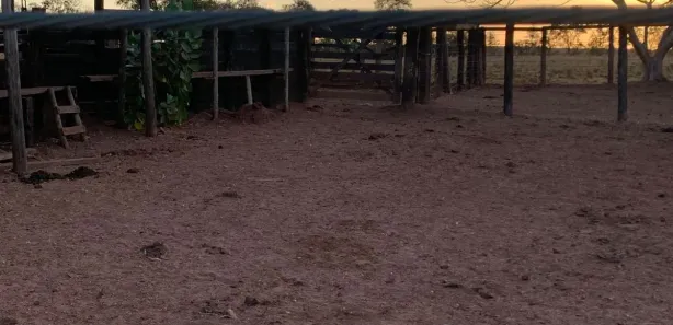 Fazenda / Sítio / Chácara com 5 Quartos à venda, 407m² no Área Rural de Gurupi, Gurupi