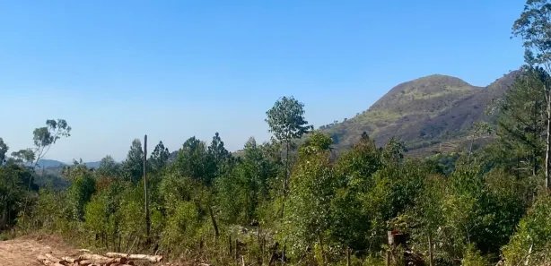 Casa de Condomínio com 1 Quarto à venda, 1000m² no Saboó, São Roque