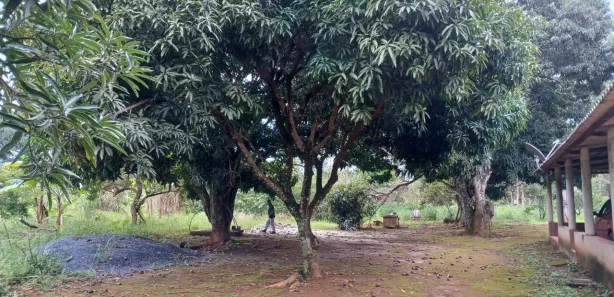 Fazenda / Sítio / Chácara à venda, 100000m² no Área Rural de Santo Antônio do Descoberto, Santo Antônio do Descoberto