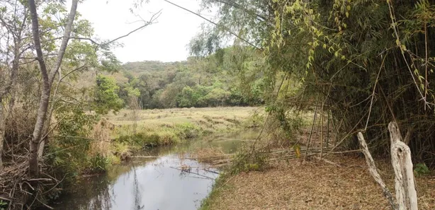 Terreno / Lote / Condomínio à venda, 20000m² no , Caeté