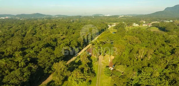 Fazenda / Sítio / Chácara com 4 Quartos à venda, 300m² no Das Laranjeiras, São Francisco do Sul