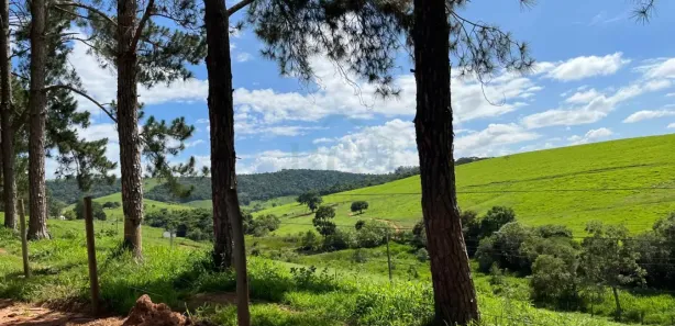 Fazenda / Sítio / Chácara à venda, 6580000m² no Área Rural de Pouso Alegre, Pouso Alegre